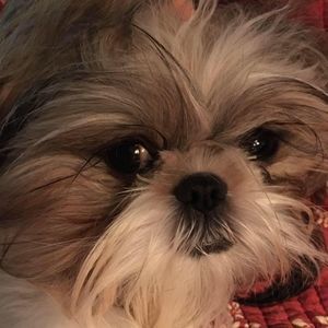 Meet your Posher, Tracy